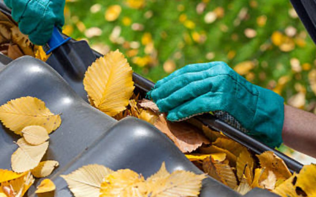Gutter Cleaning in Melbourne