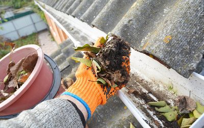 Why You Should Never Neglect Gutter Cleaning in Melbourne