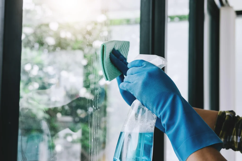 Window Cleaning