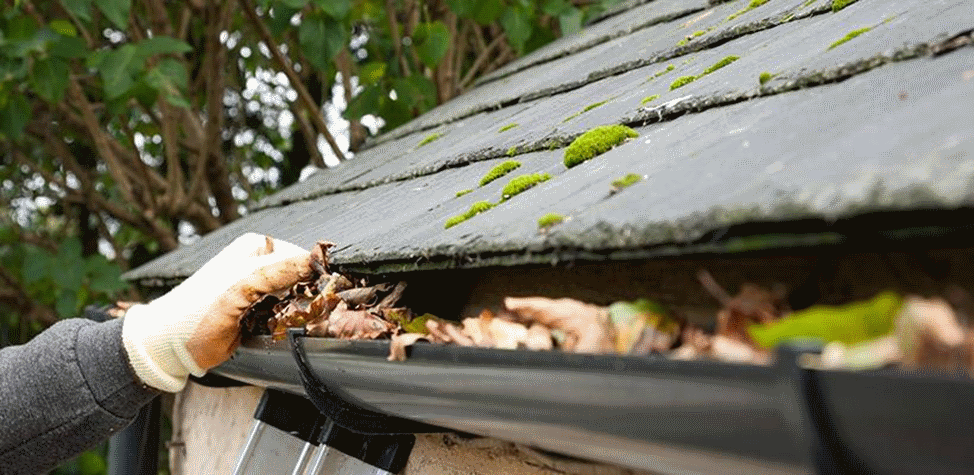 Gutter Cleaning