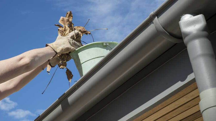 Gutter Cleaning