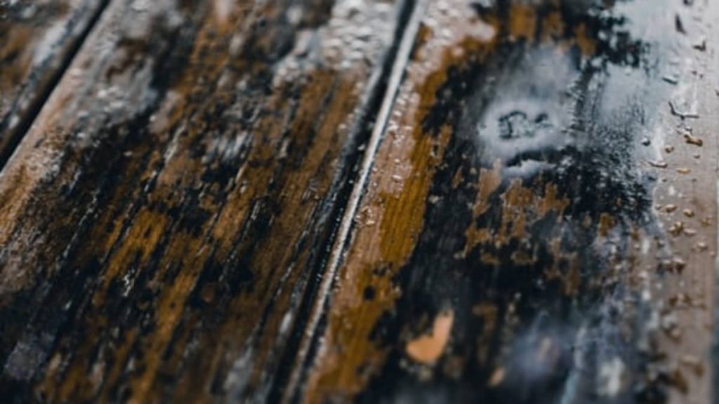 Wooden Mould Treatment